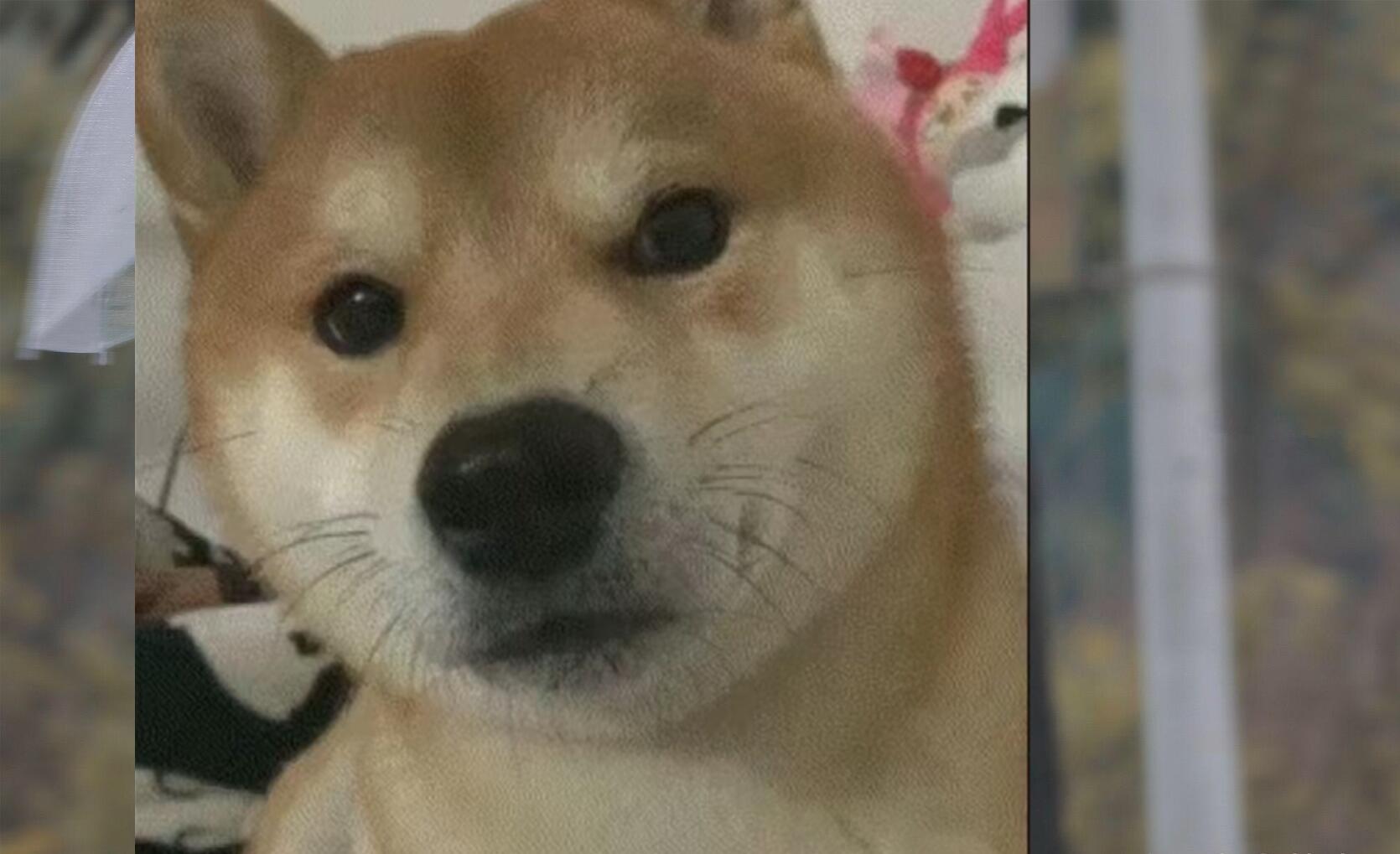 2024-01-20 09:07:45覆图|100